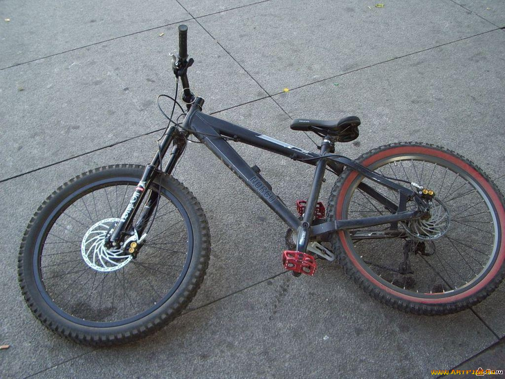 спорт, велоспорт