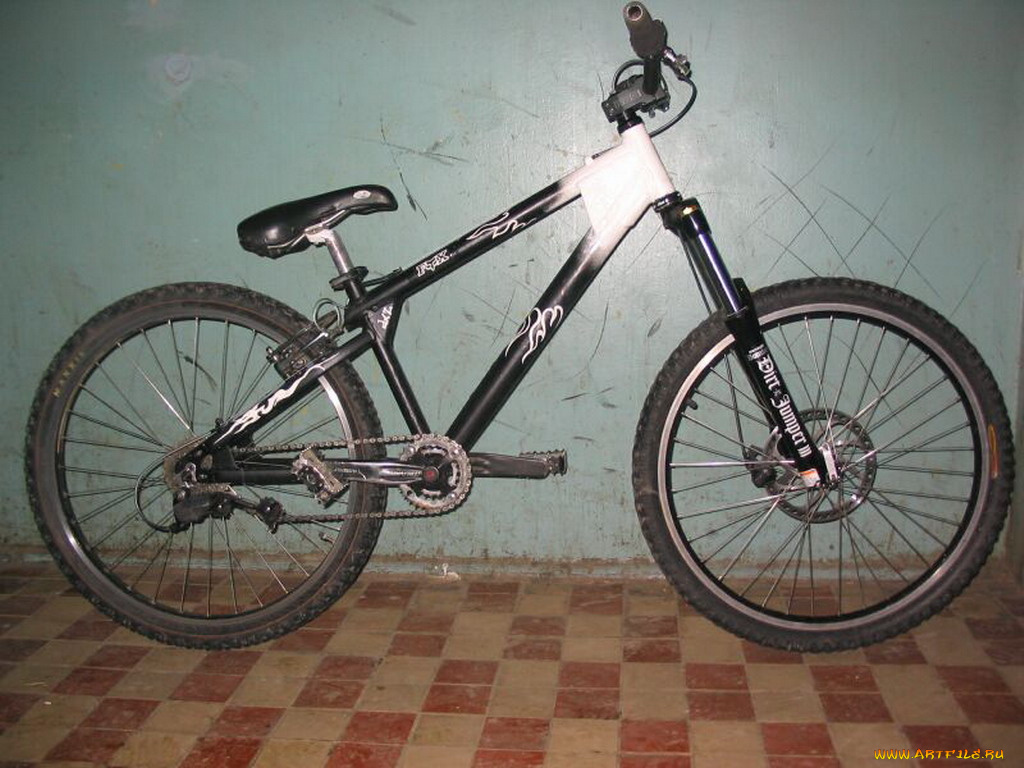 спорт, велоспорт