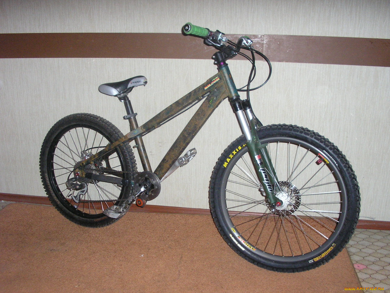 спорт, велоспорт