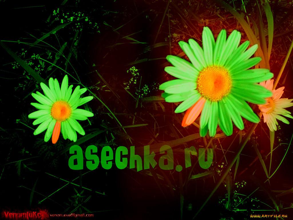 компьютеры, unknown, разное