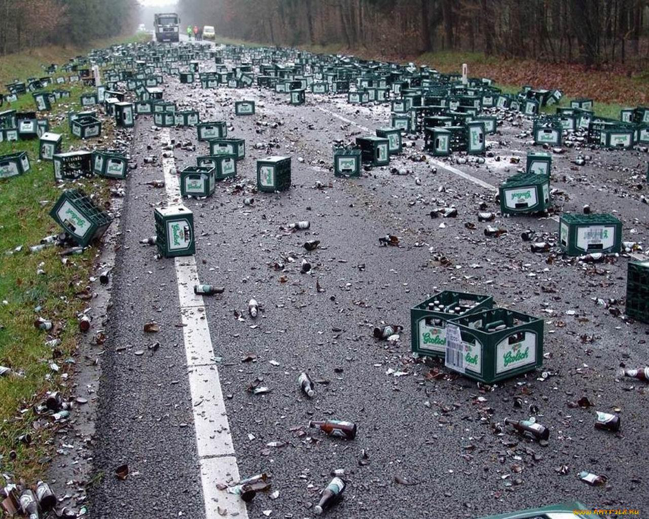 юмор, приколы