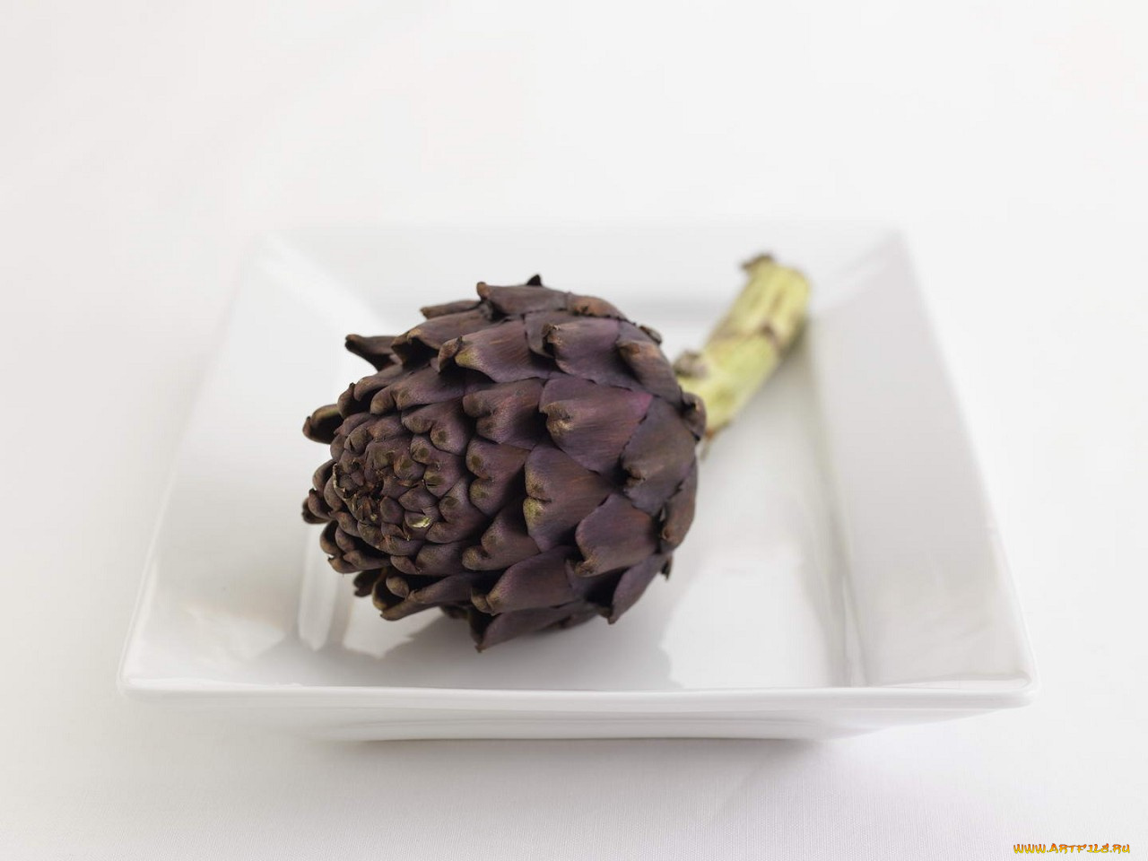еда, артишок