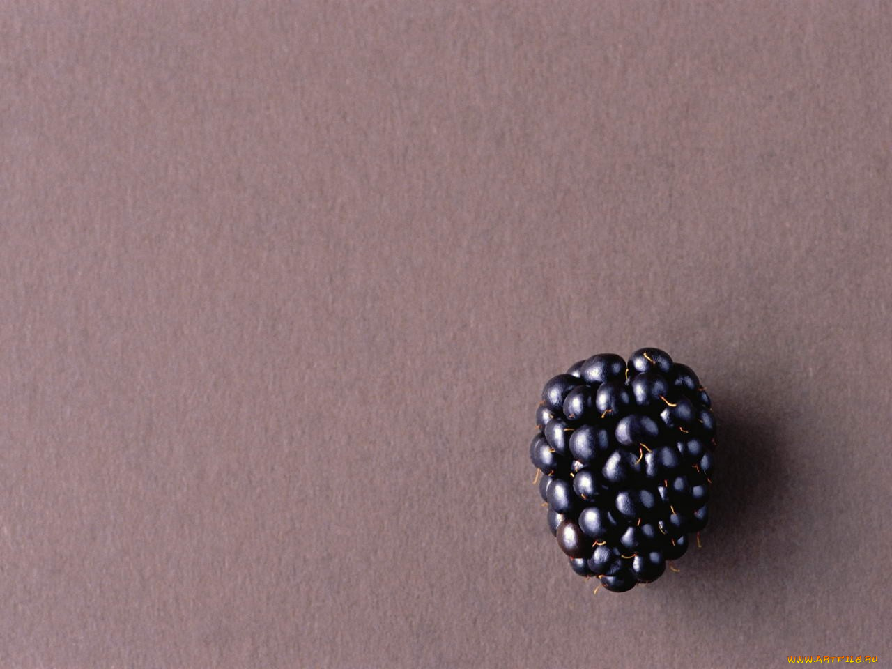 еда, ежевика