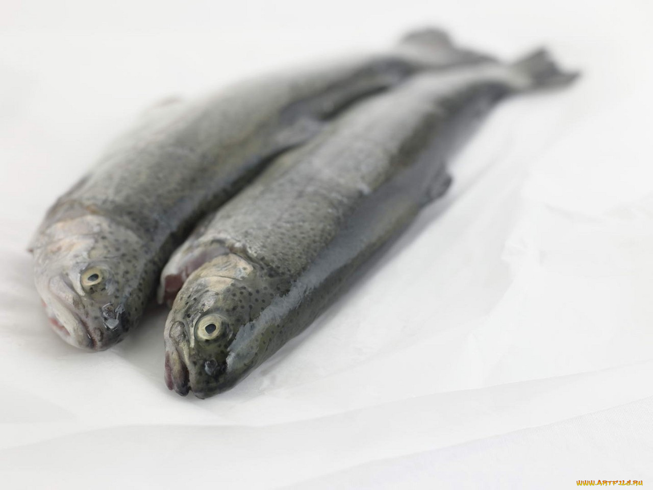 еда, рыба, морепродукты, суши, роллы