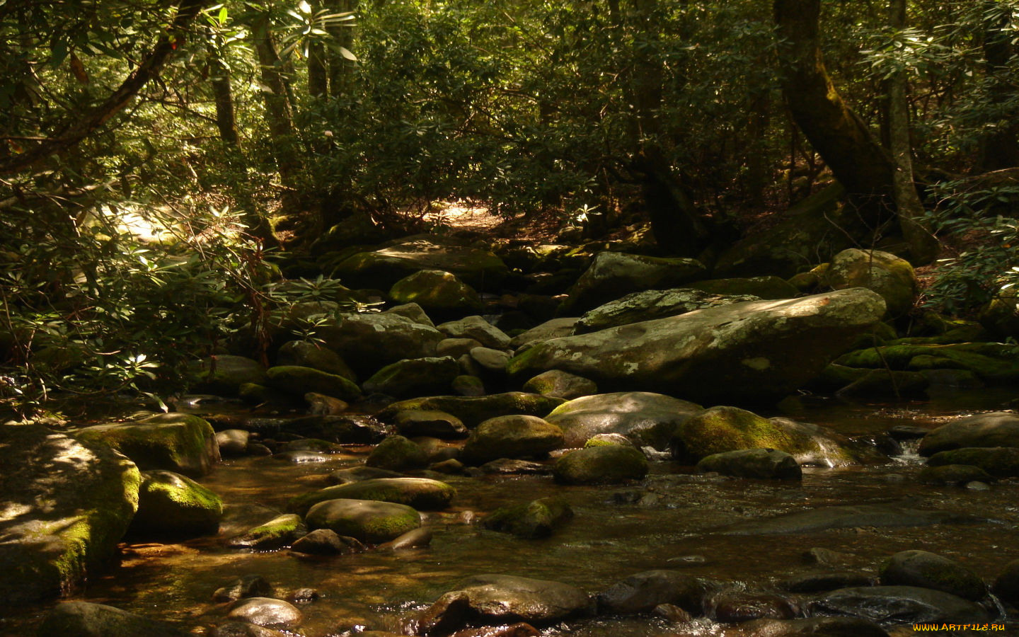 природа, реки, озера