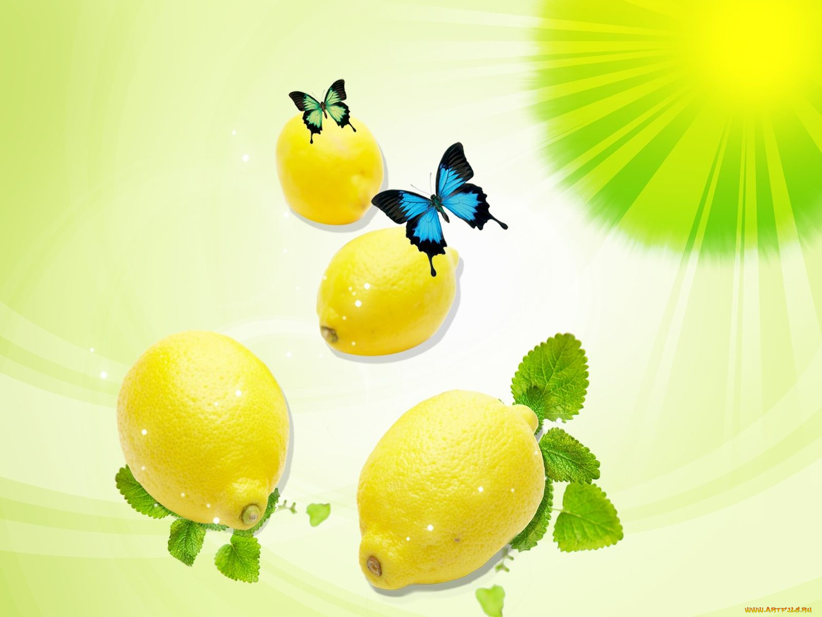 еда, цитрусы