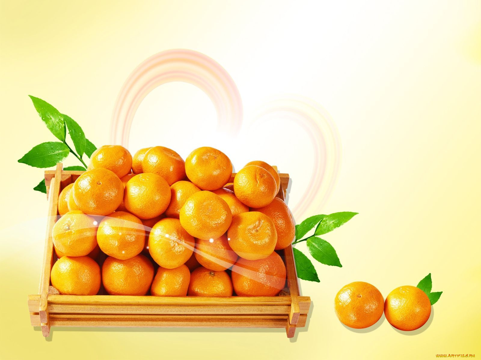 еда, цитрусы