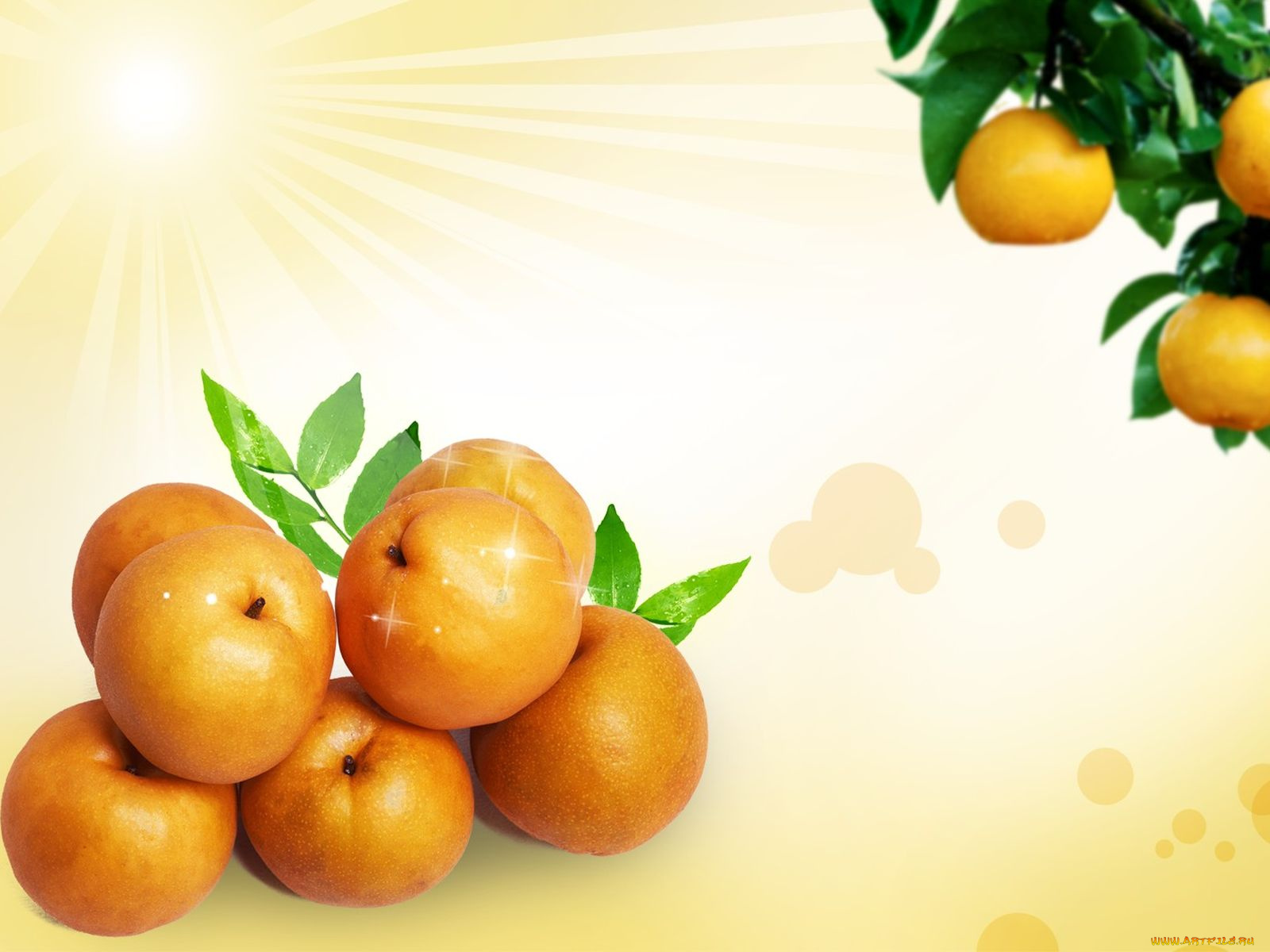 еда, фрукты, ягоды