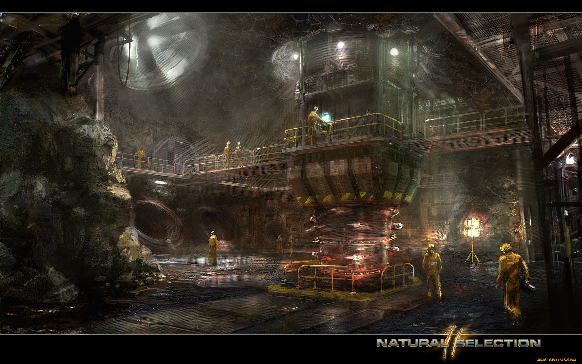 natural, selection, видео, игры