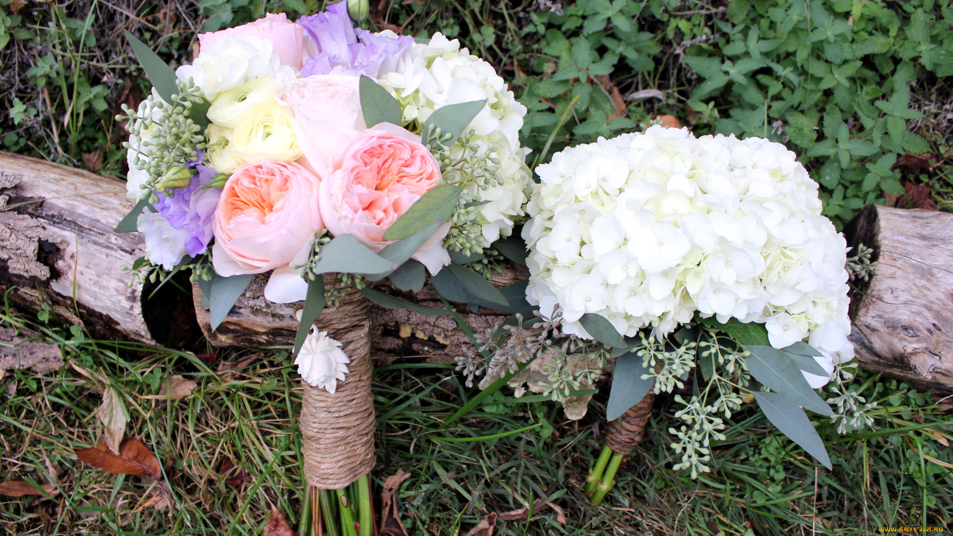 цветы, букеты, композиции