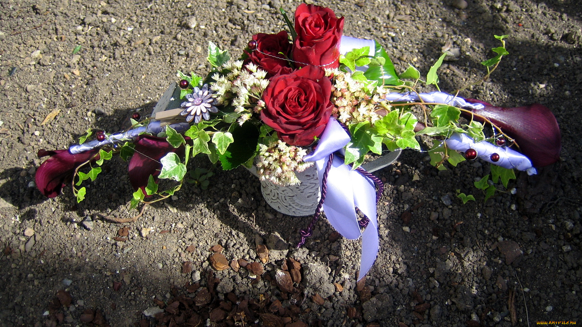 цветы, букеты, композиции, розы