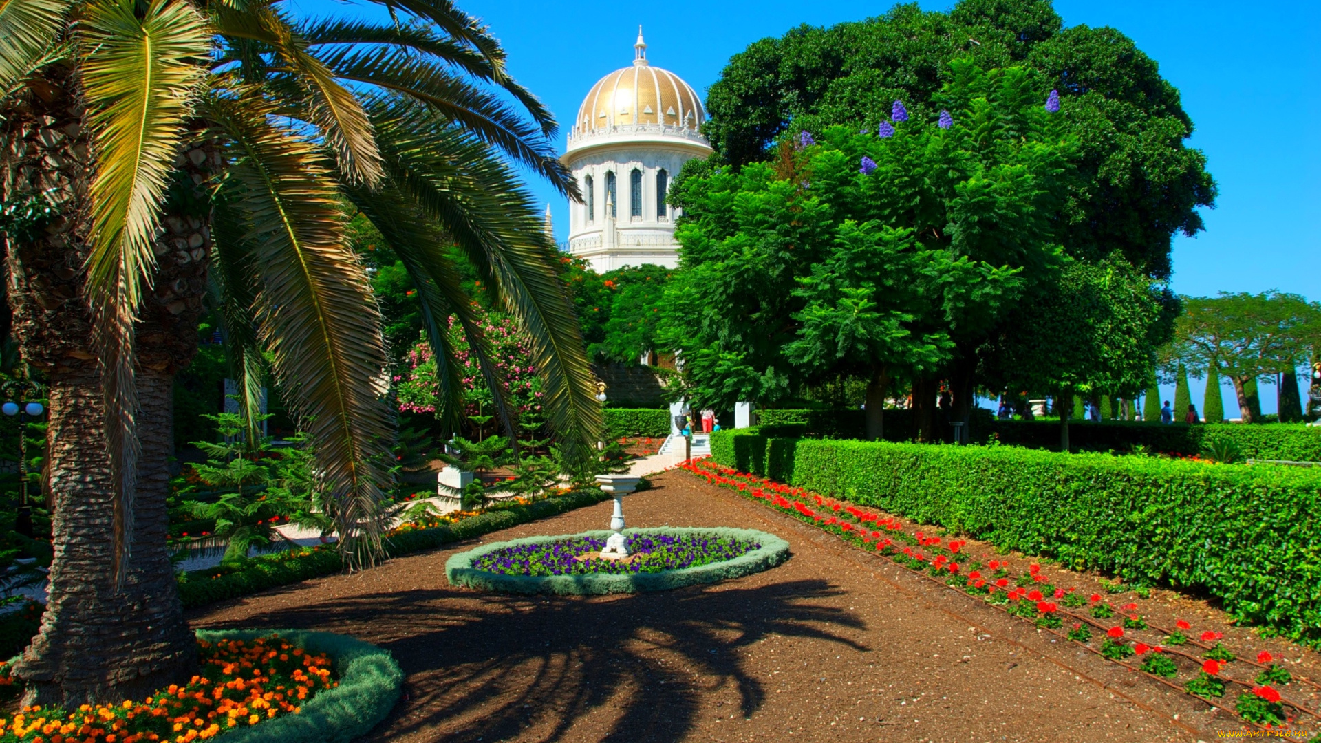 города, здания, дома, хайфа, израиль