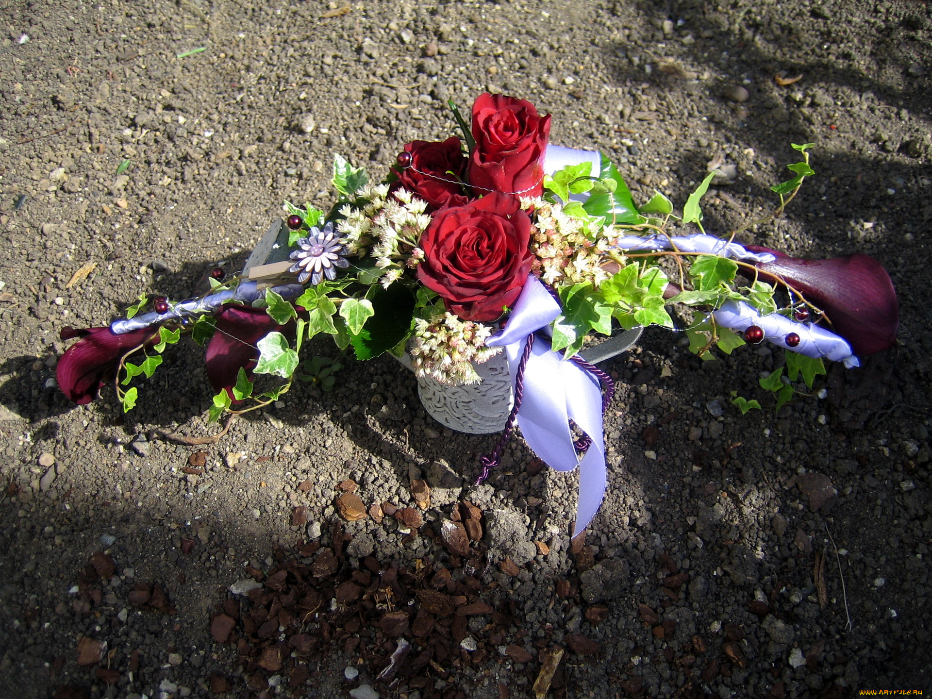 цветы, букеты, композиции, розы