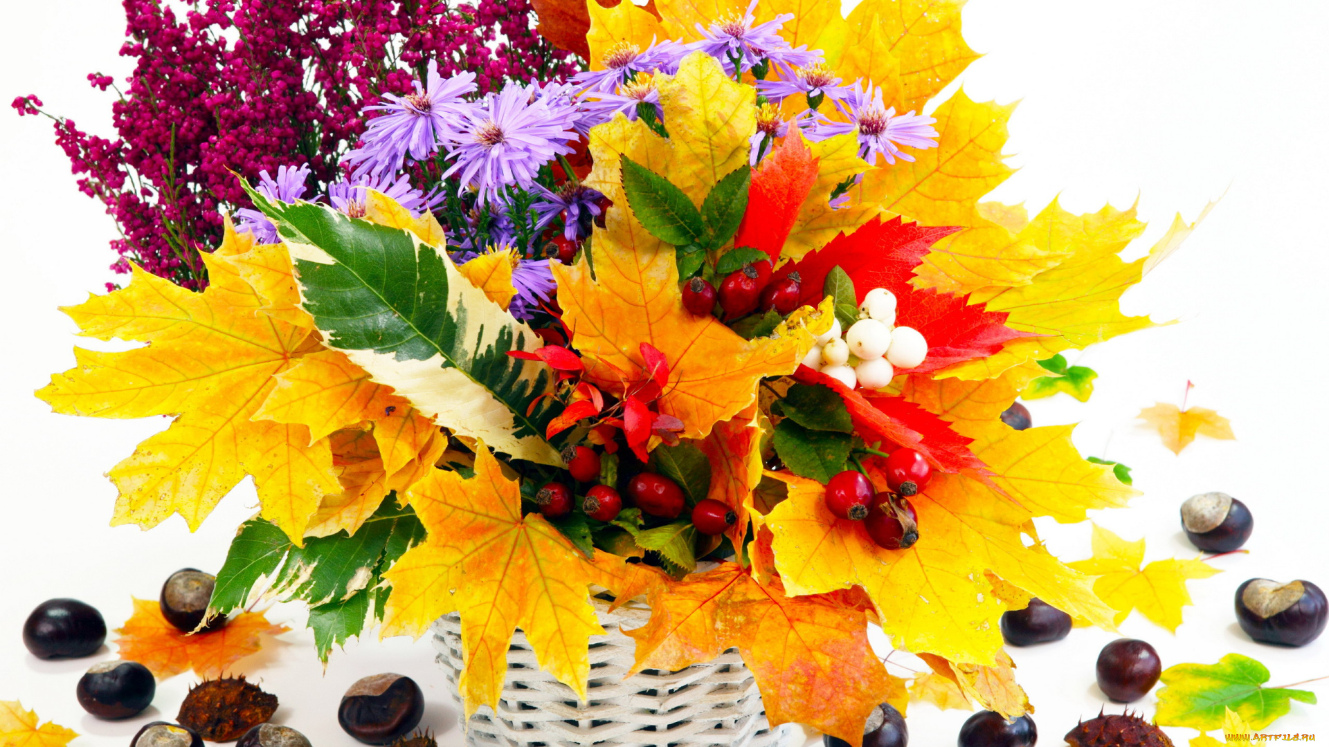 цветы, букеты, композиции, осенний, букет, корзинка, астры, листья, каштаны