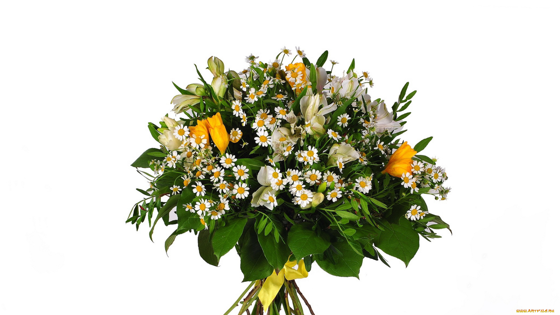 цветы, букеты, композиции, салал, пистация, альстромерия, фрезия, танацетум