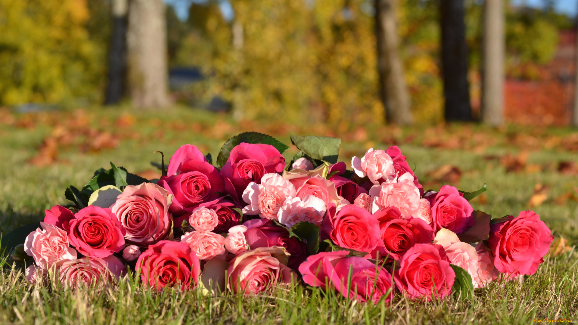 цветы, разные, вместе, розы, гвоздики, охапка