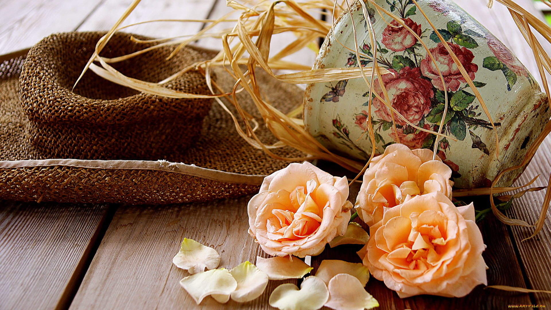 цветы, розы, шляпа, вазон