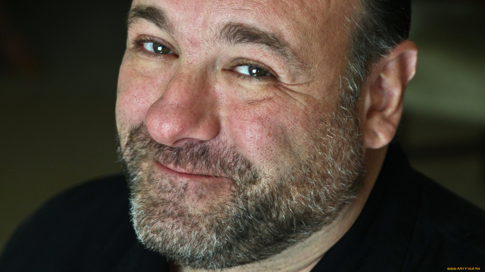 james, gandolfini, мужчины