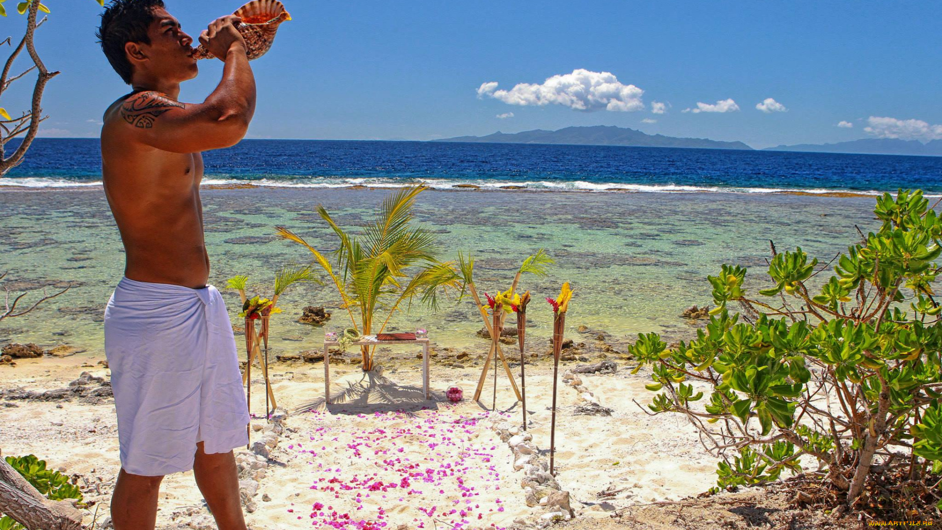 мужчины, unsort, церемония, пляж, раковина