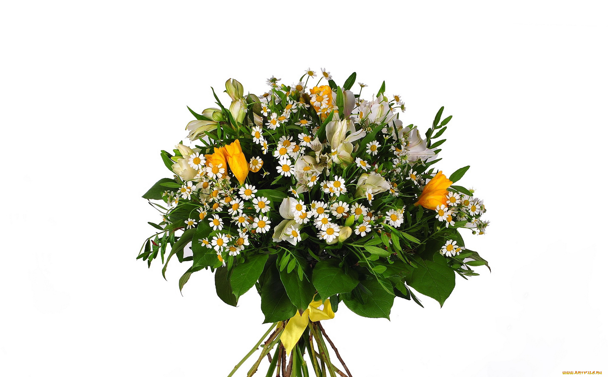 цветы, букеты, композиции, салал, пистация, альстромерия, фрезия, танацетум