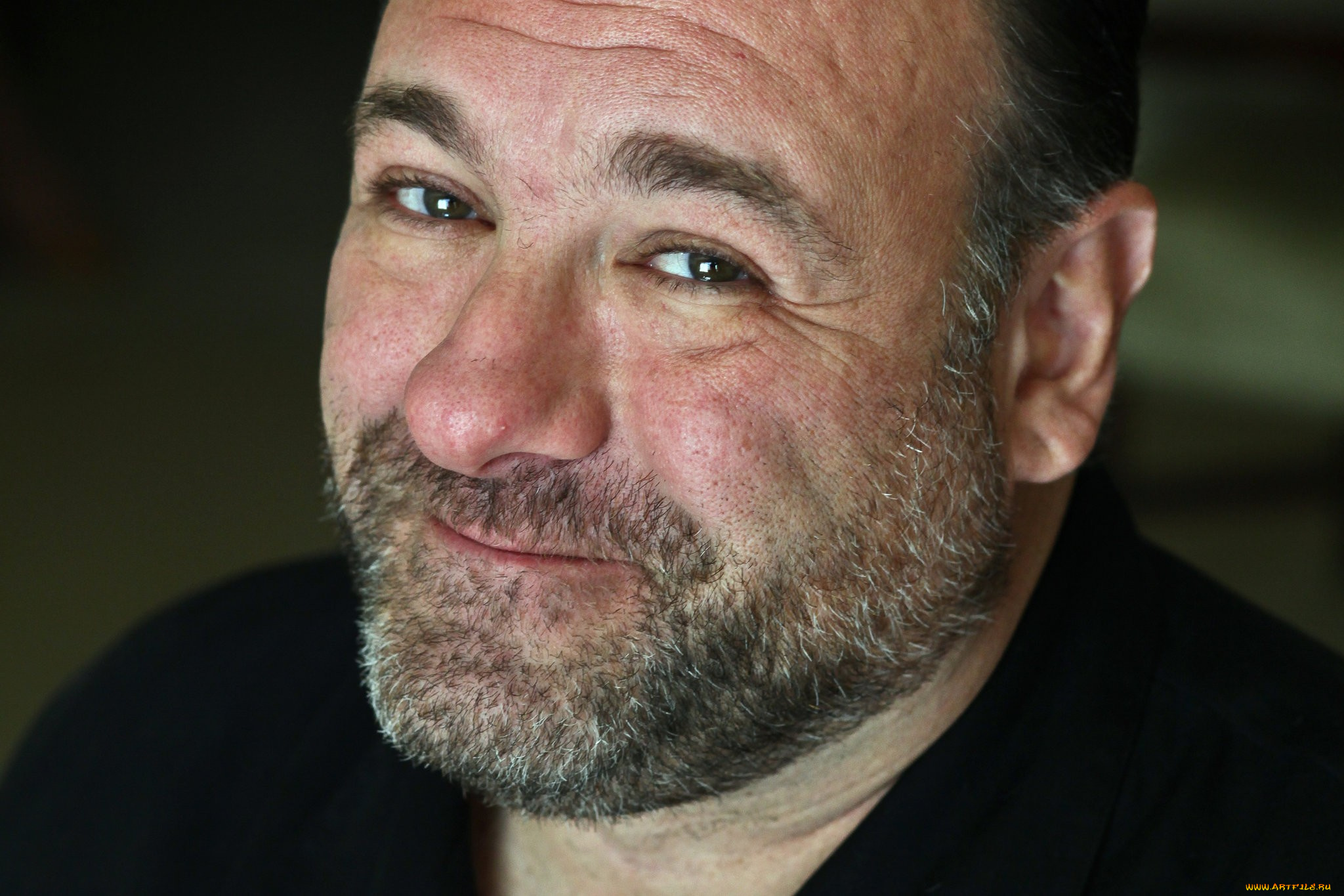 james, gandolfini, мужчины