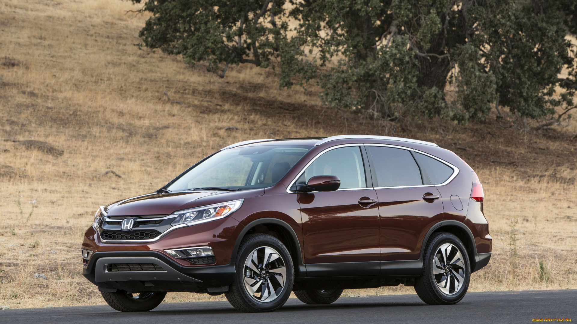2015, honda, cr-v, автомобили, honda, металлик, коричневый