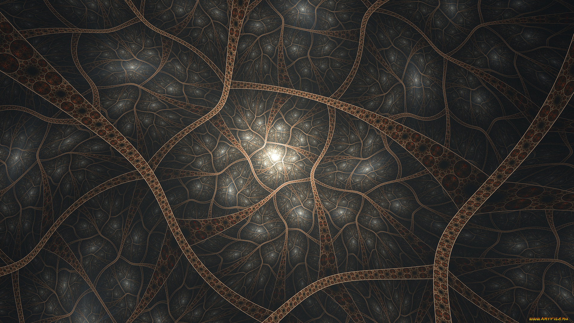 3д, графика, фракталы, , fractal, фон, цвета, узор