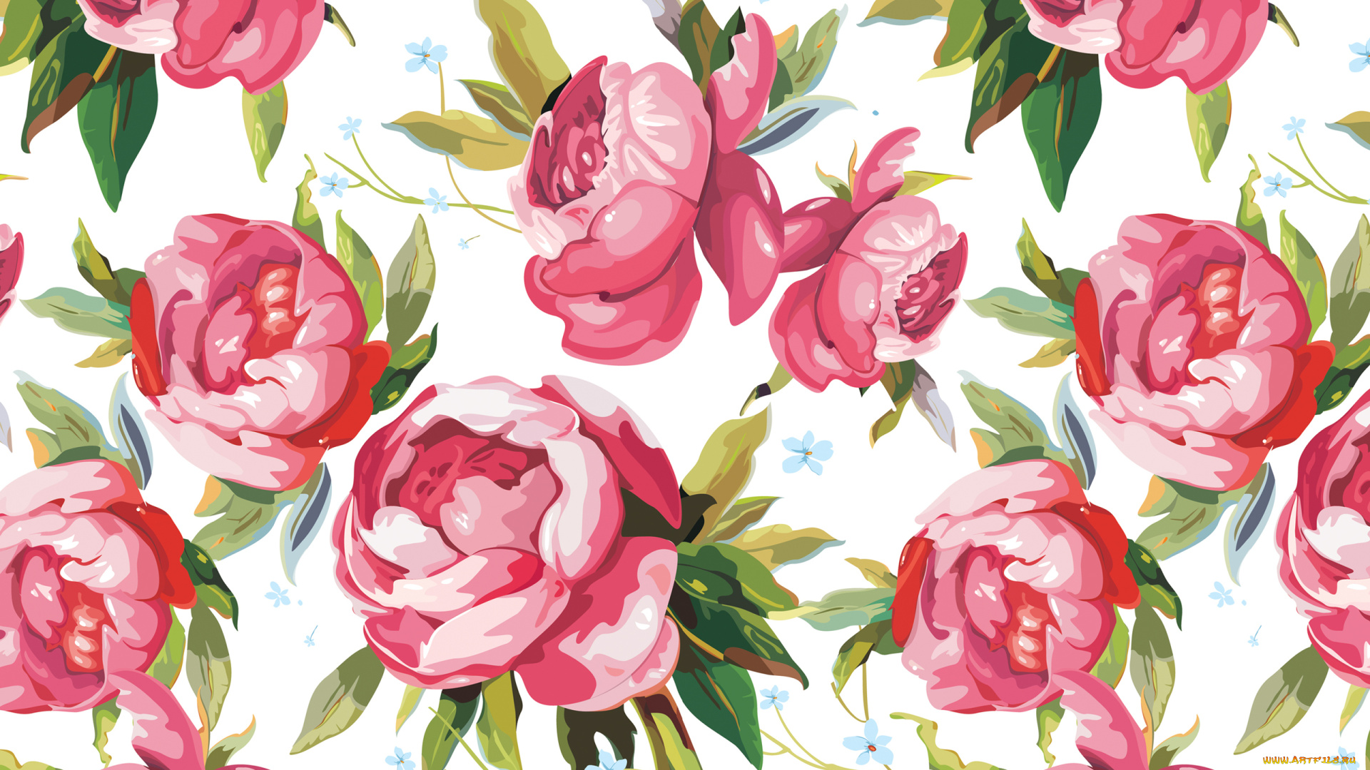 рисованное, цветы, незабудки, пионы, бутоны