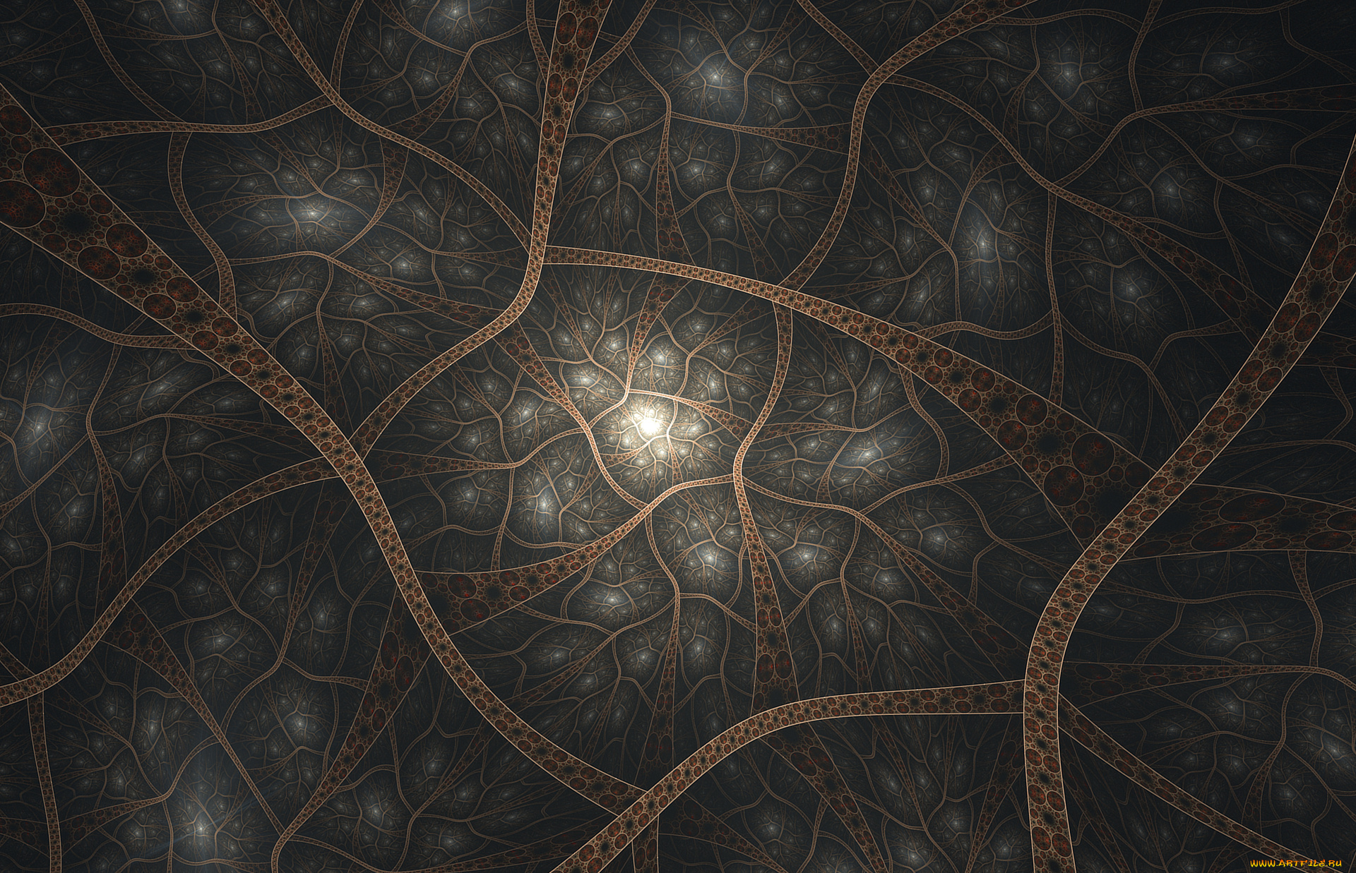 3д, графика, фракталы, , fractal, фон, цвета, узор