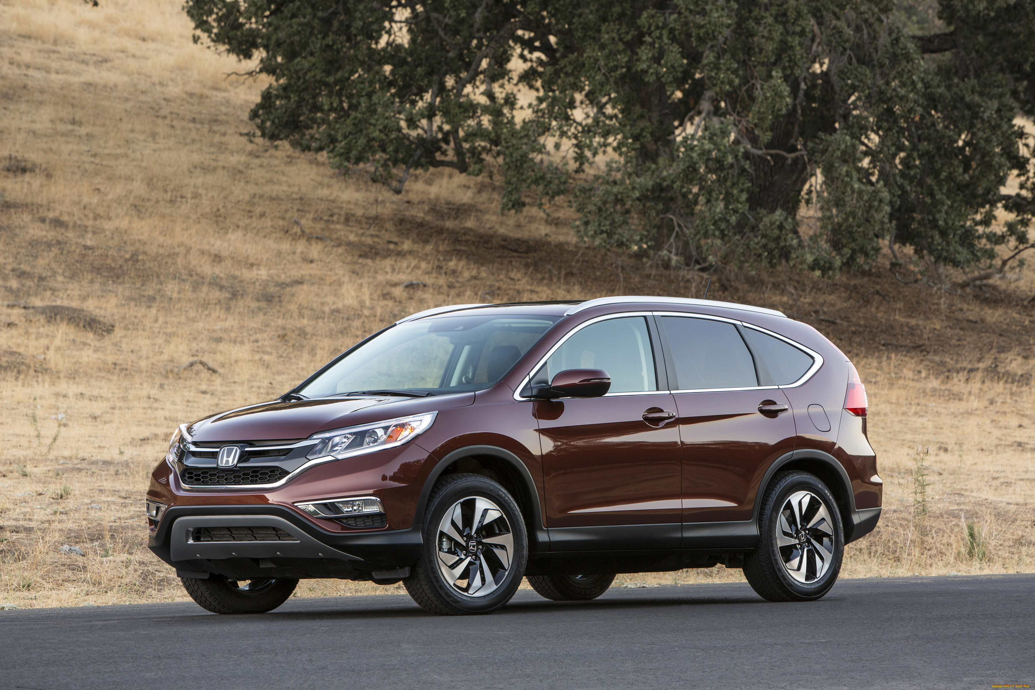 2015, honda, cr-v, автомобили, honda, металлик, коричневый