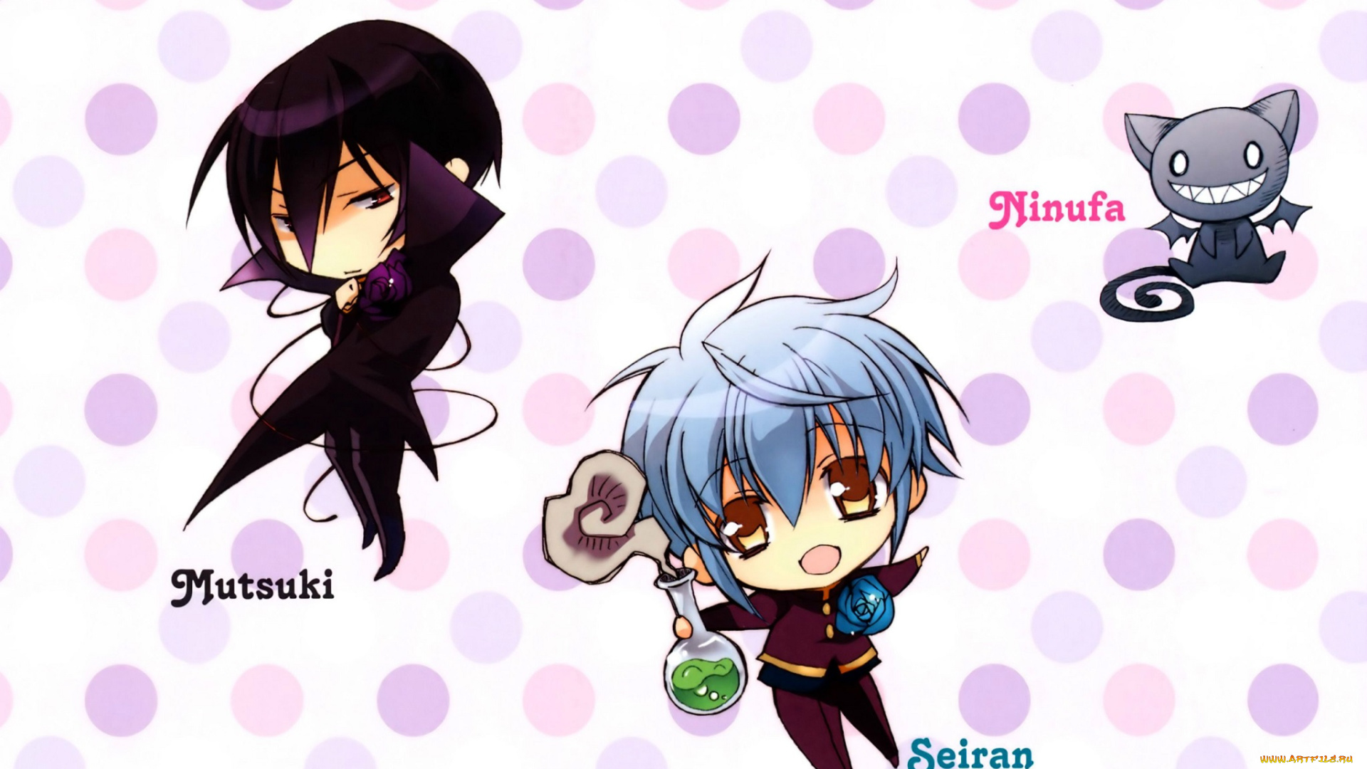 аниме, kiss, of, rose, princess, котенок, черный, голубые, волосы, ninufa, mutsuki, kurama, seiran, asagi, kiss, of, rose, princess, aya, shouoto, art