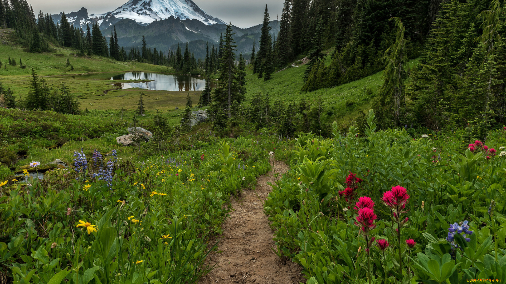 природа, дороги, река, лес, горы