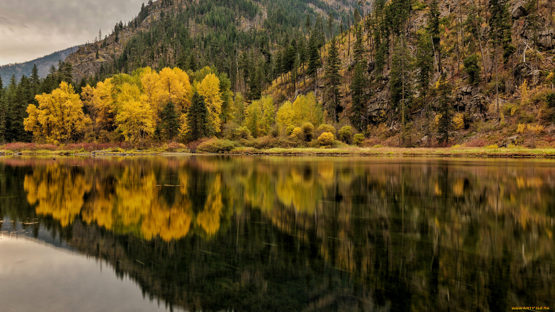 природа, реки, озера, лес, горы, река