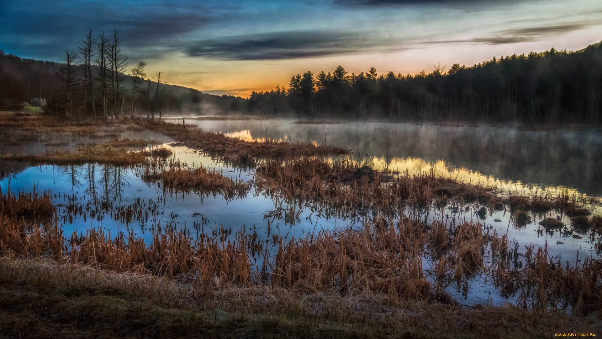 природа, реки, озера, река, лес