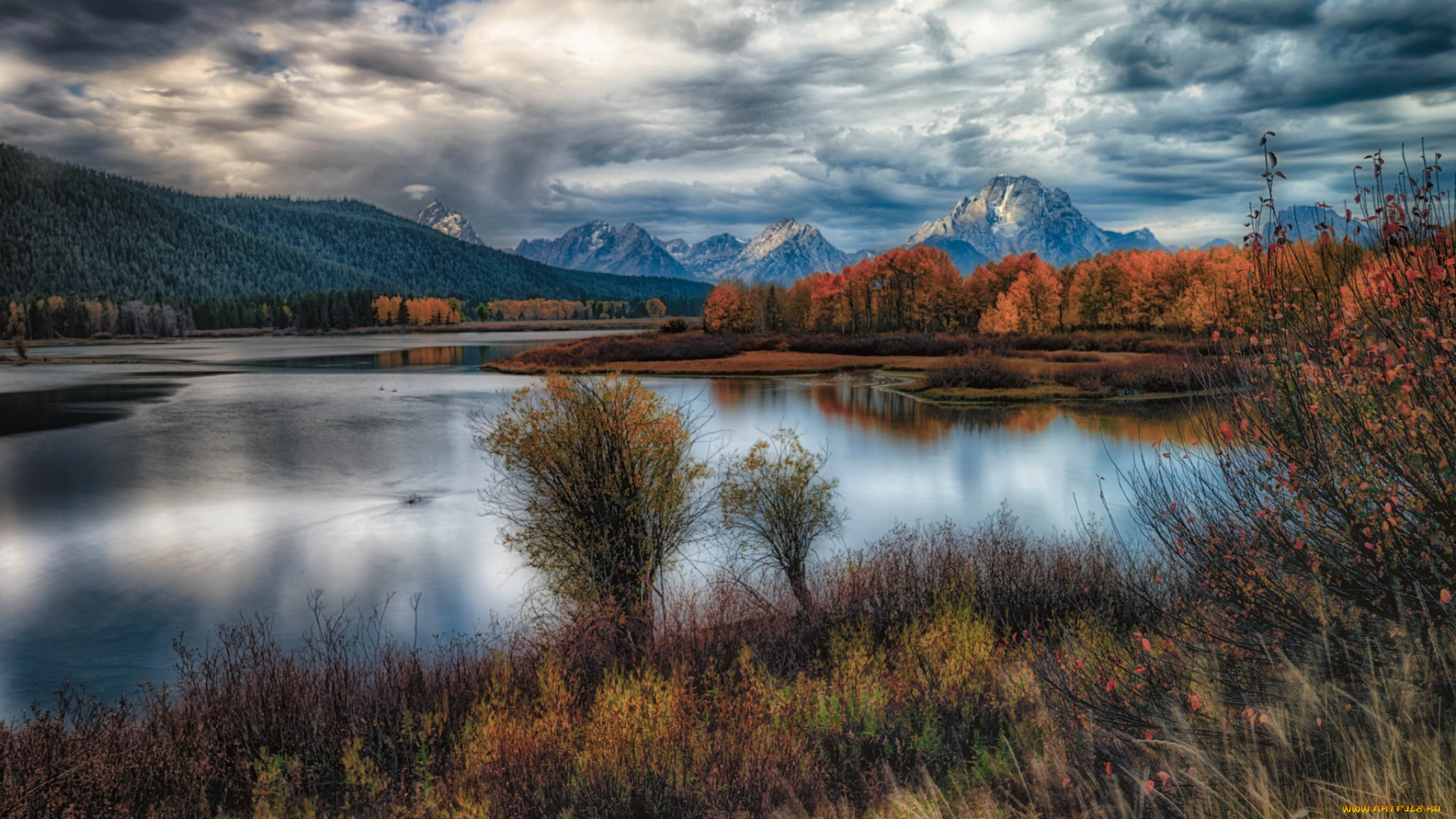 природа, реки, озера, река, лес