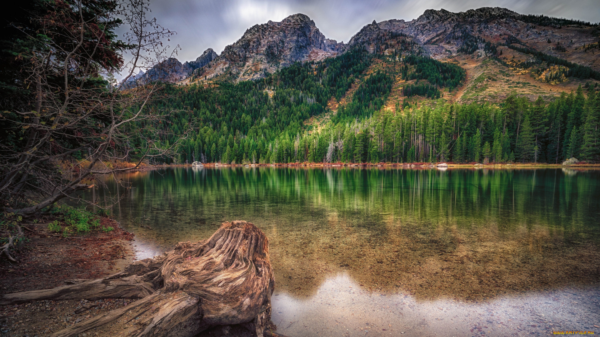 природа, реки, озера, река, лес