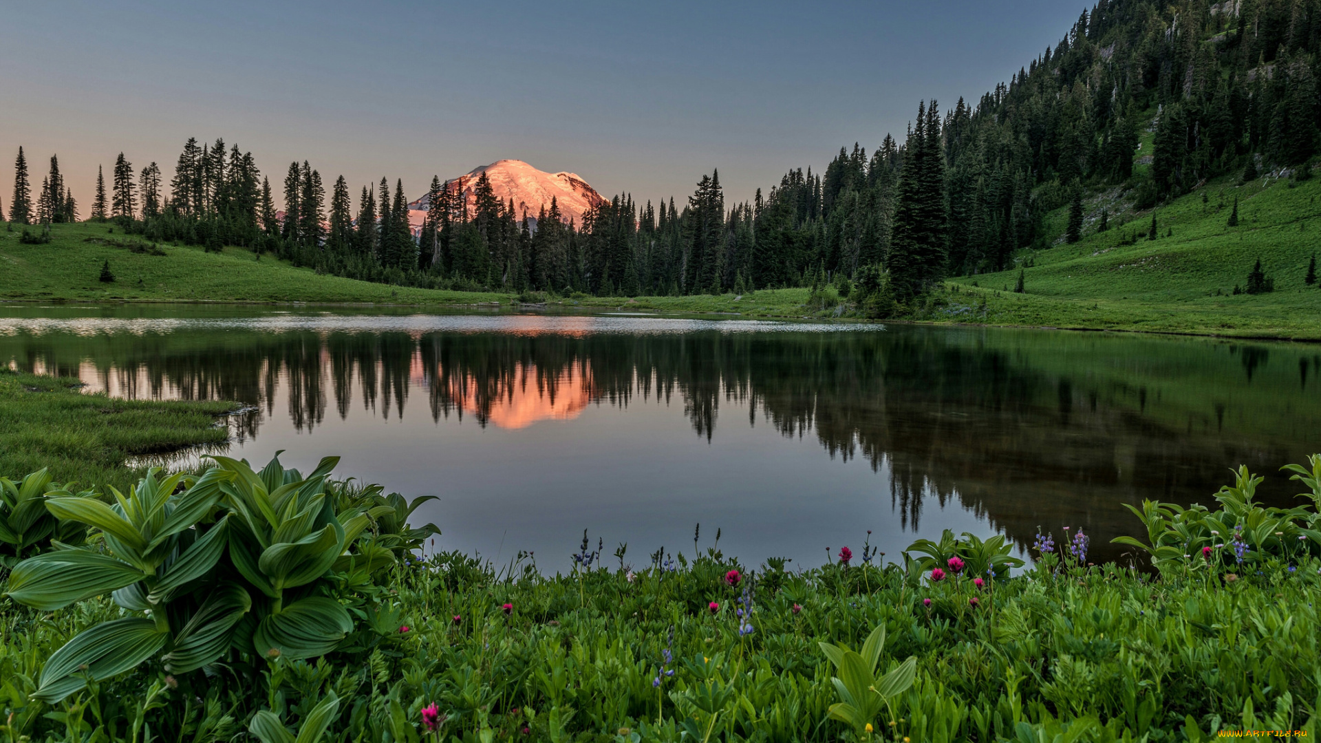 природа, реки, озера, река, лес, горы