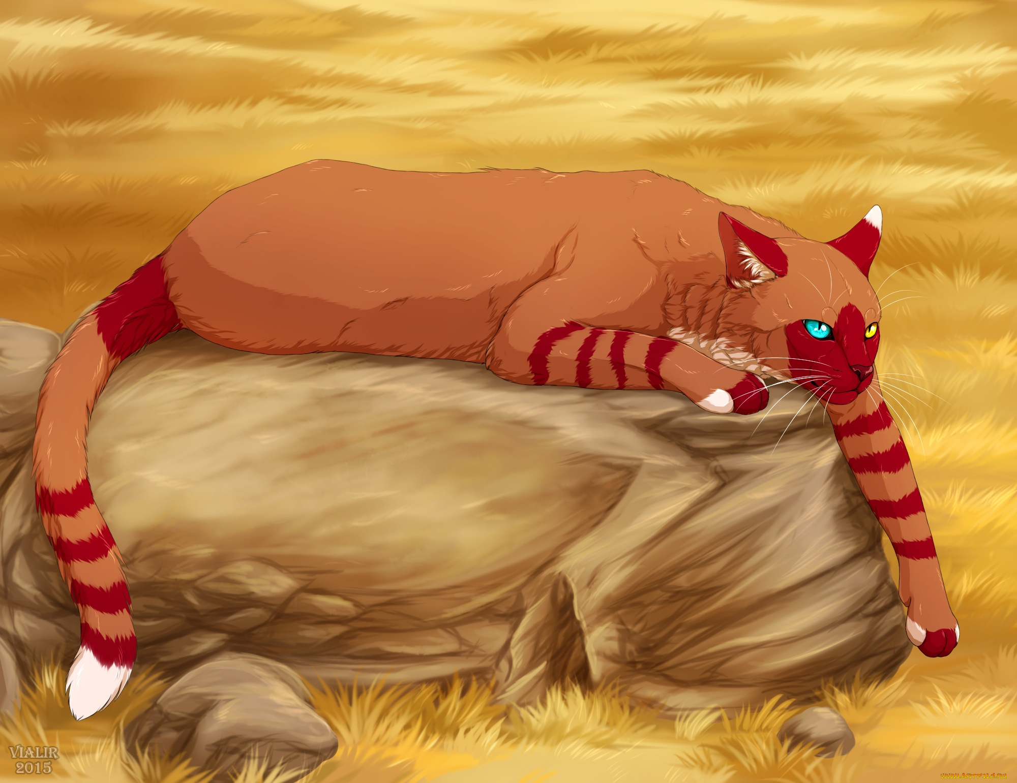 рисованное, животные, , коты, кот