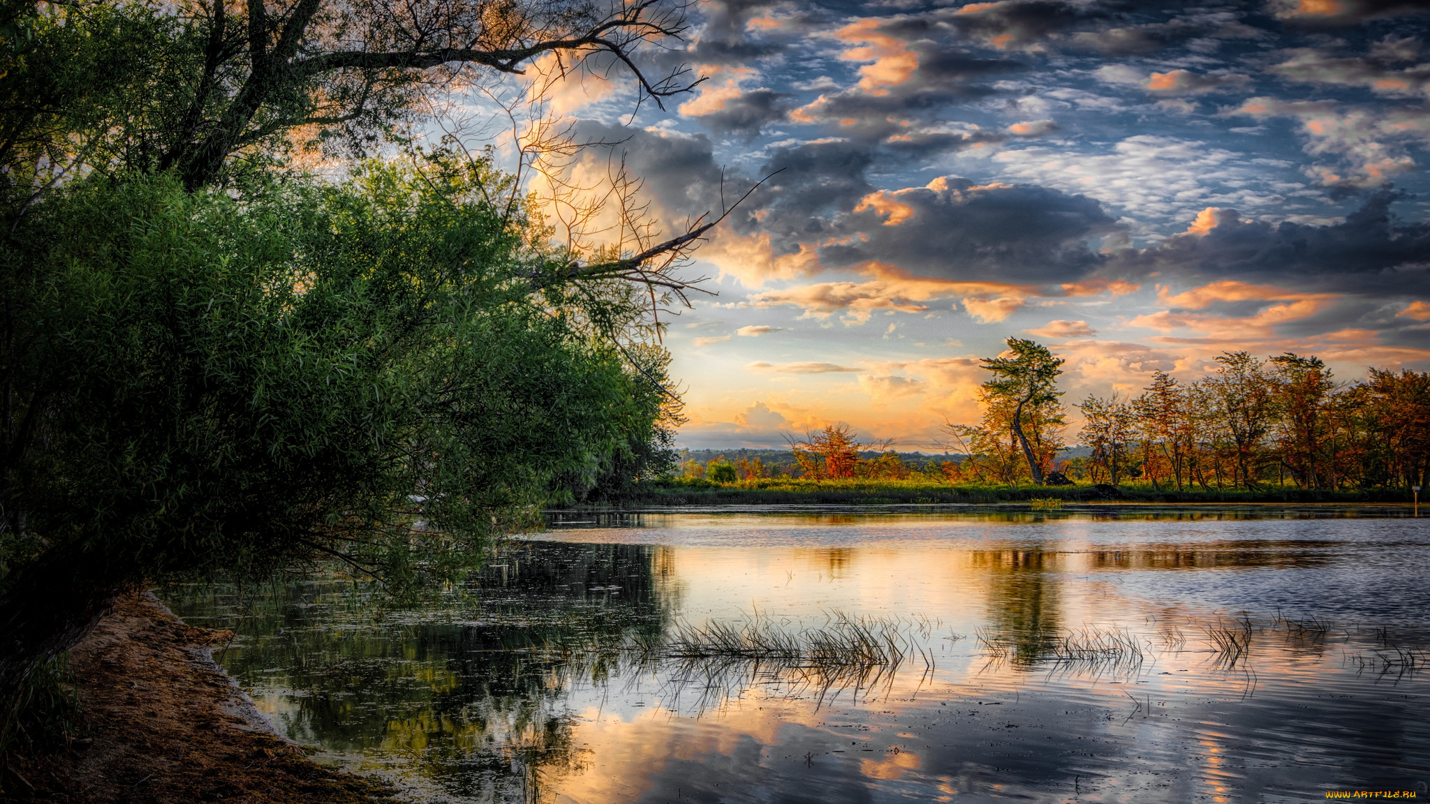 природа, реки, озера, река, лес