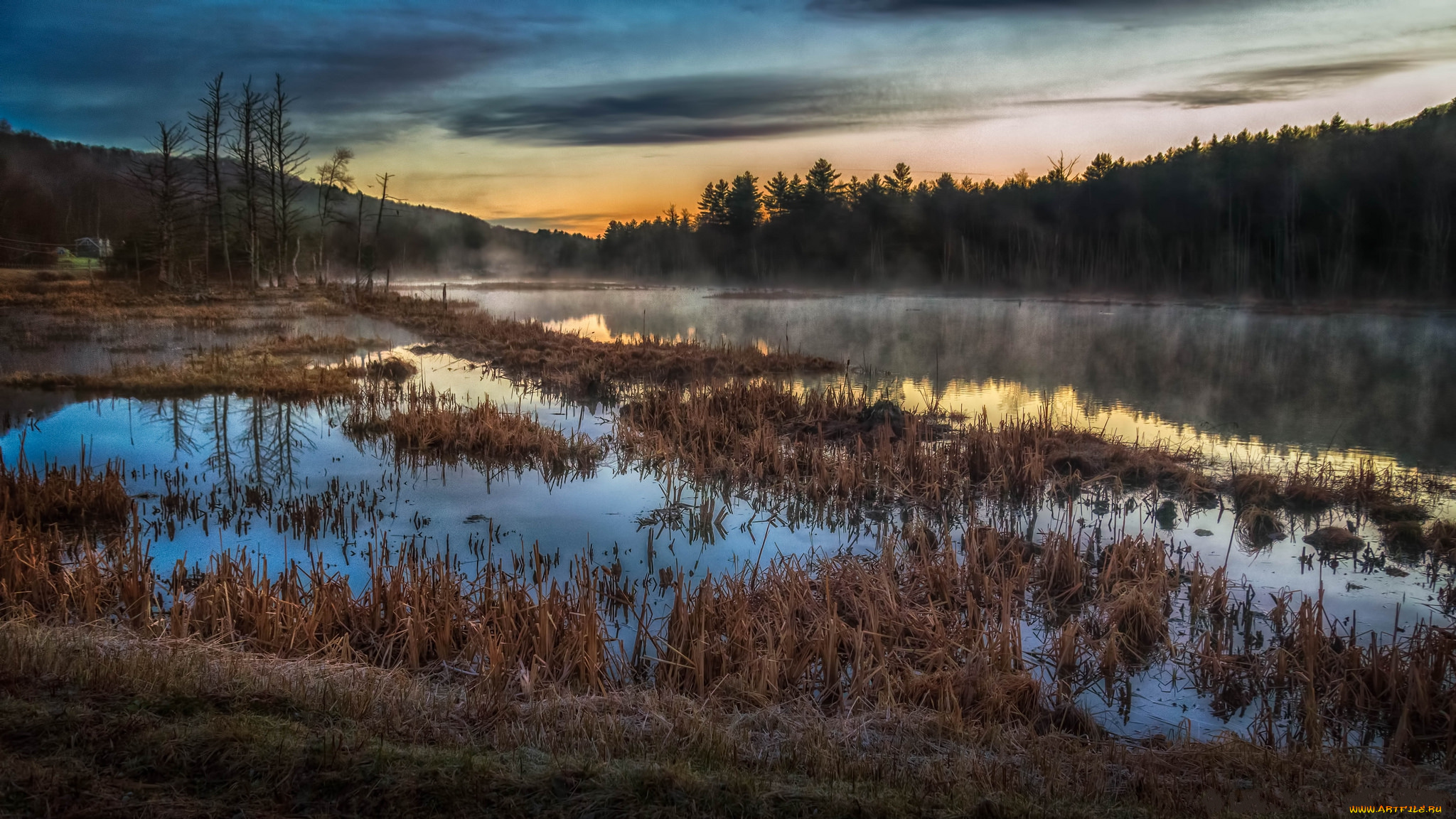 природа, реки, озера, река, лес