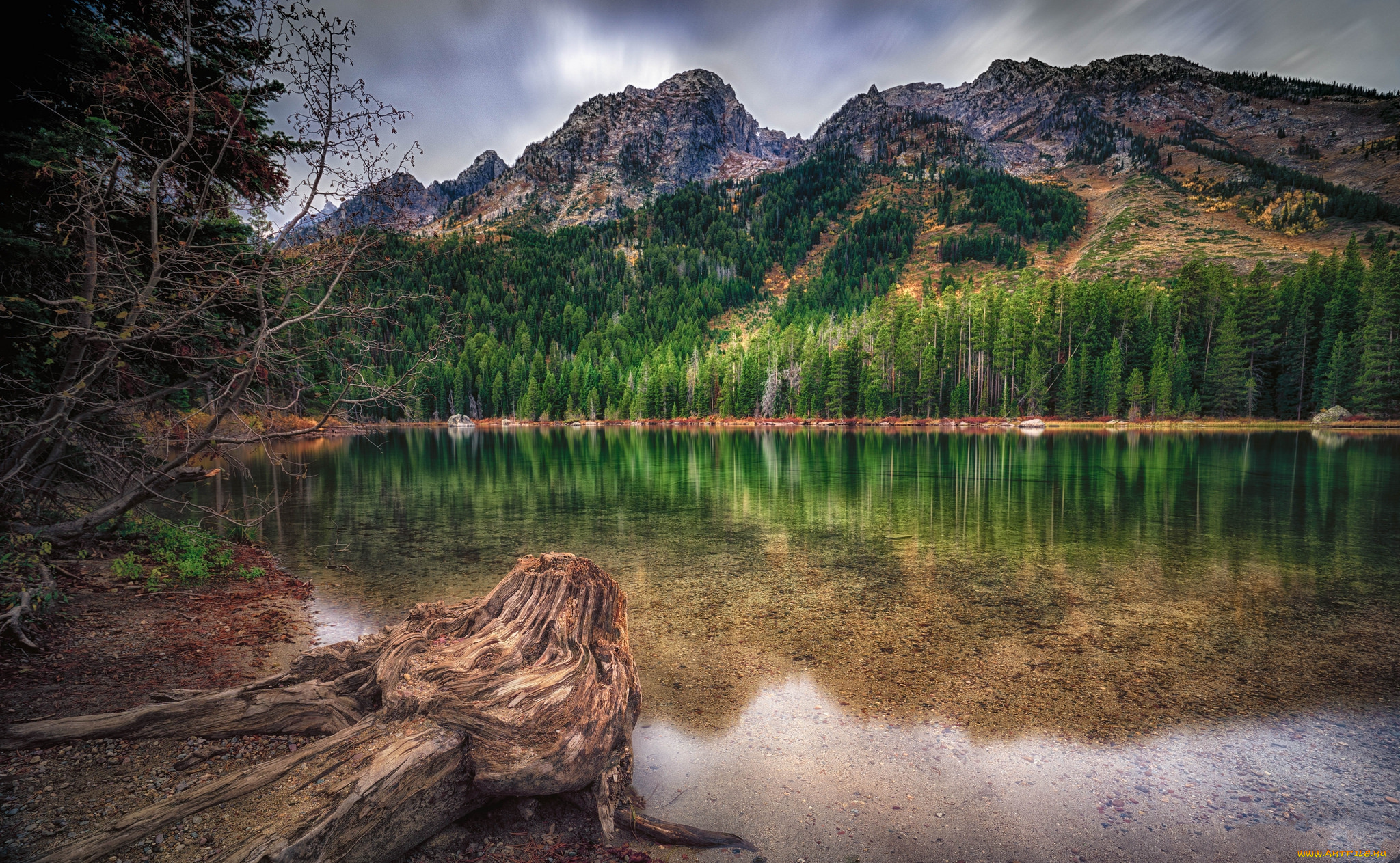 природа, реки, озера, река, лес