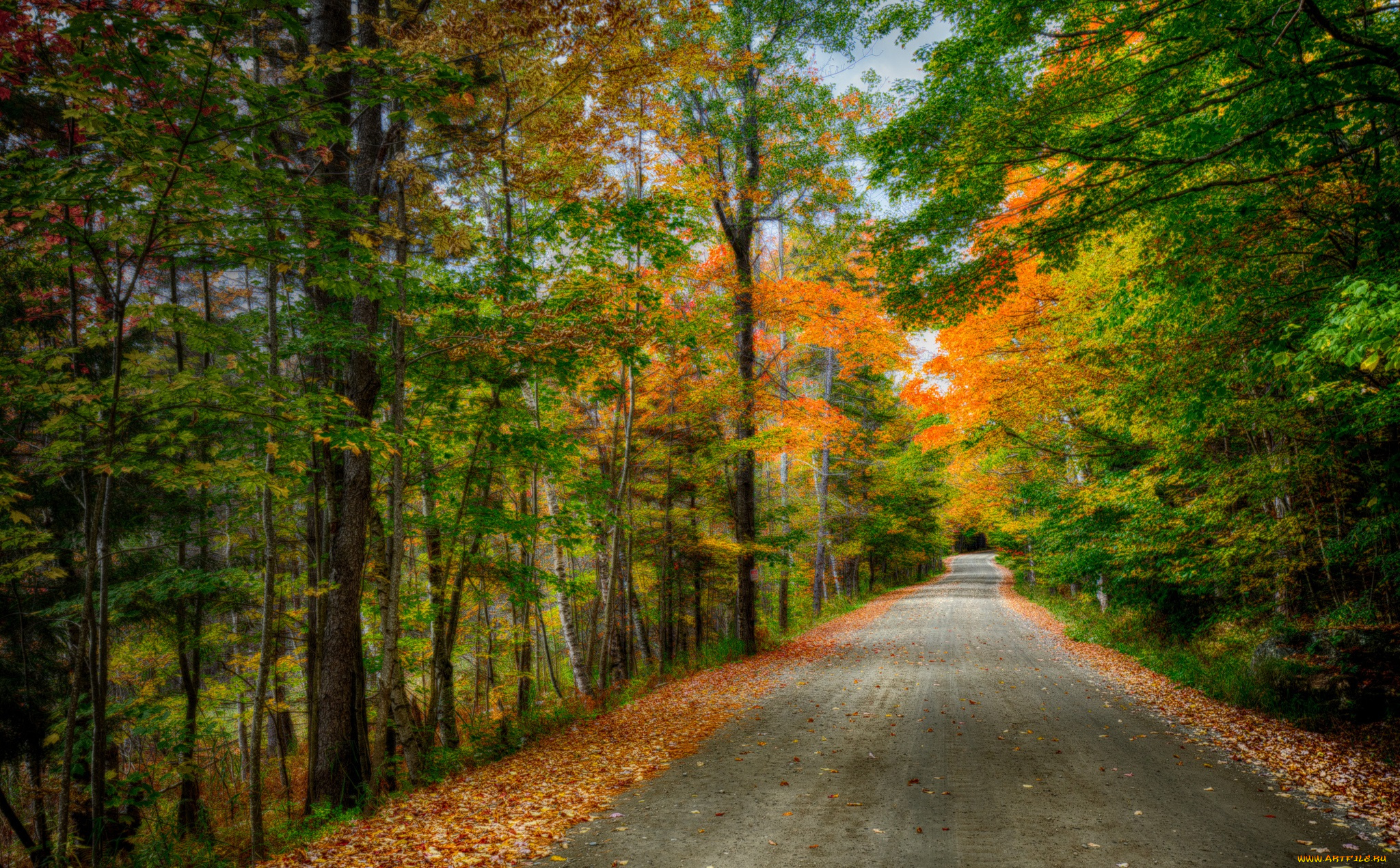 природа, дороги, шоссе, лес