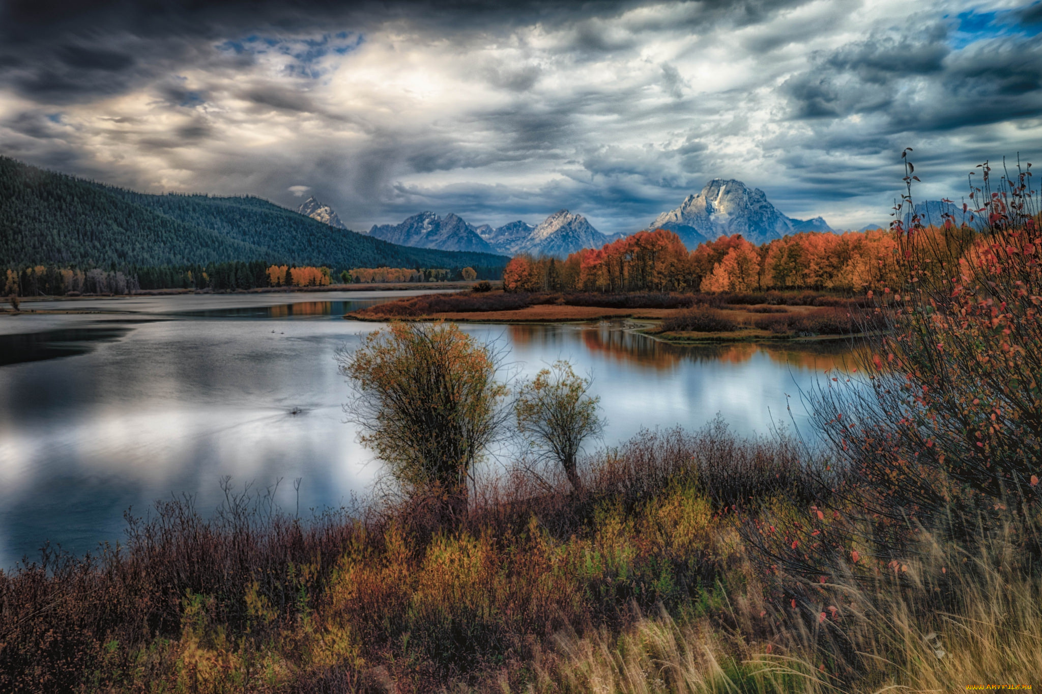 природа, реки, озера, река, лес