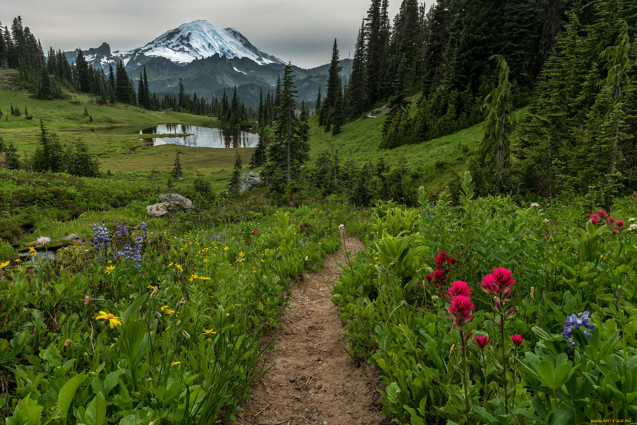 природа, дороги, река, лес, горы