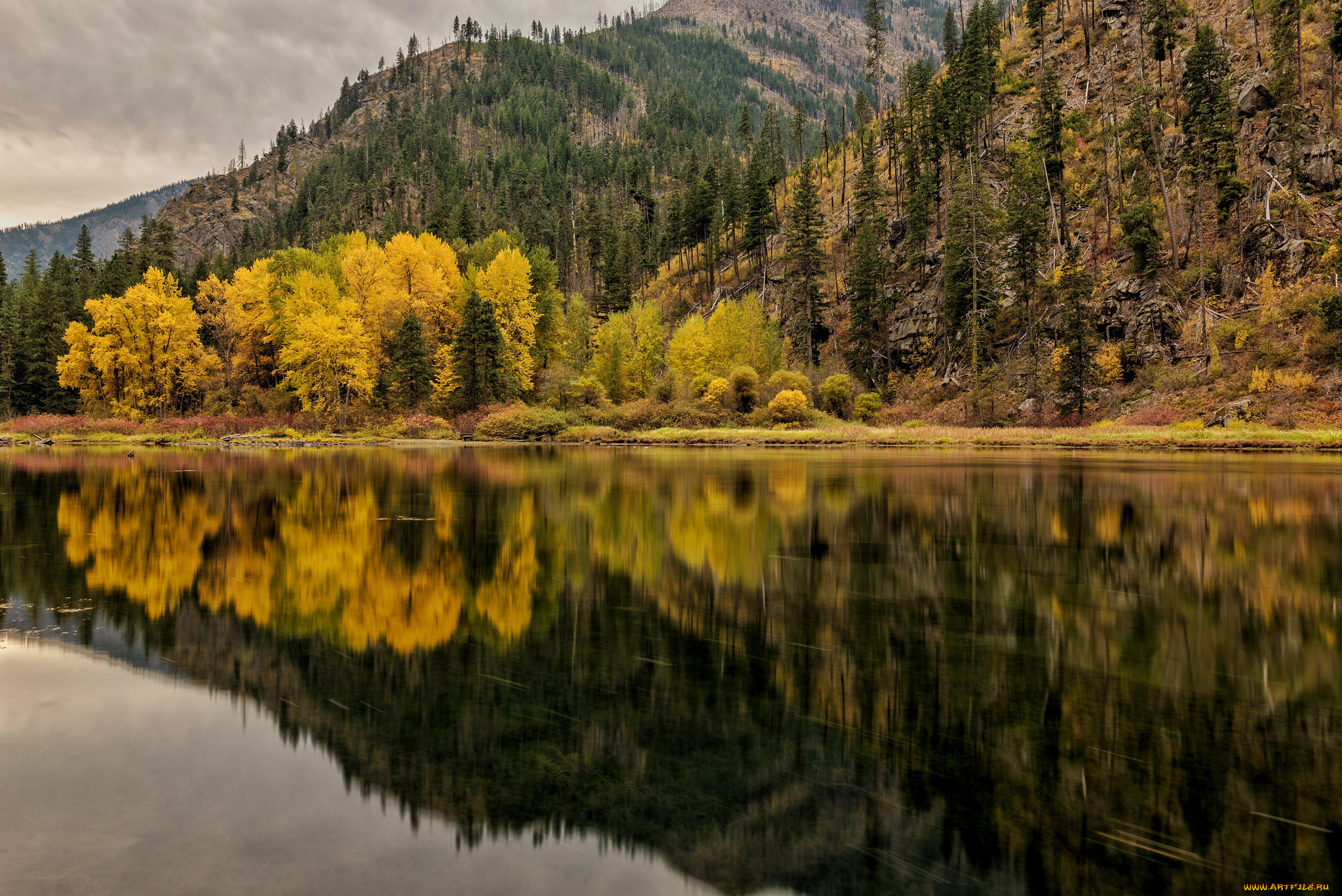 природа, реки, озера, лес, горы, река