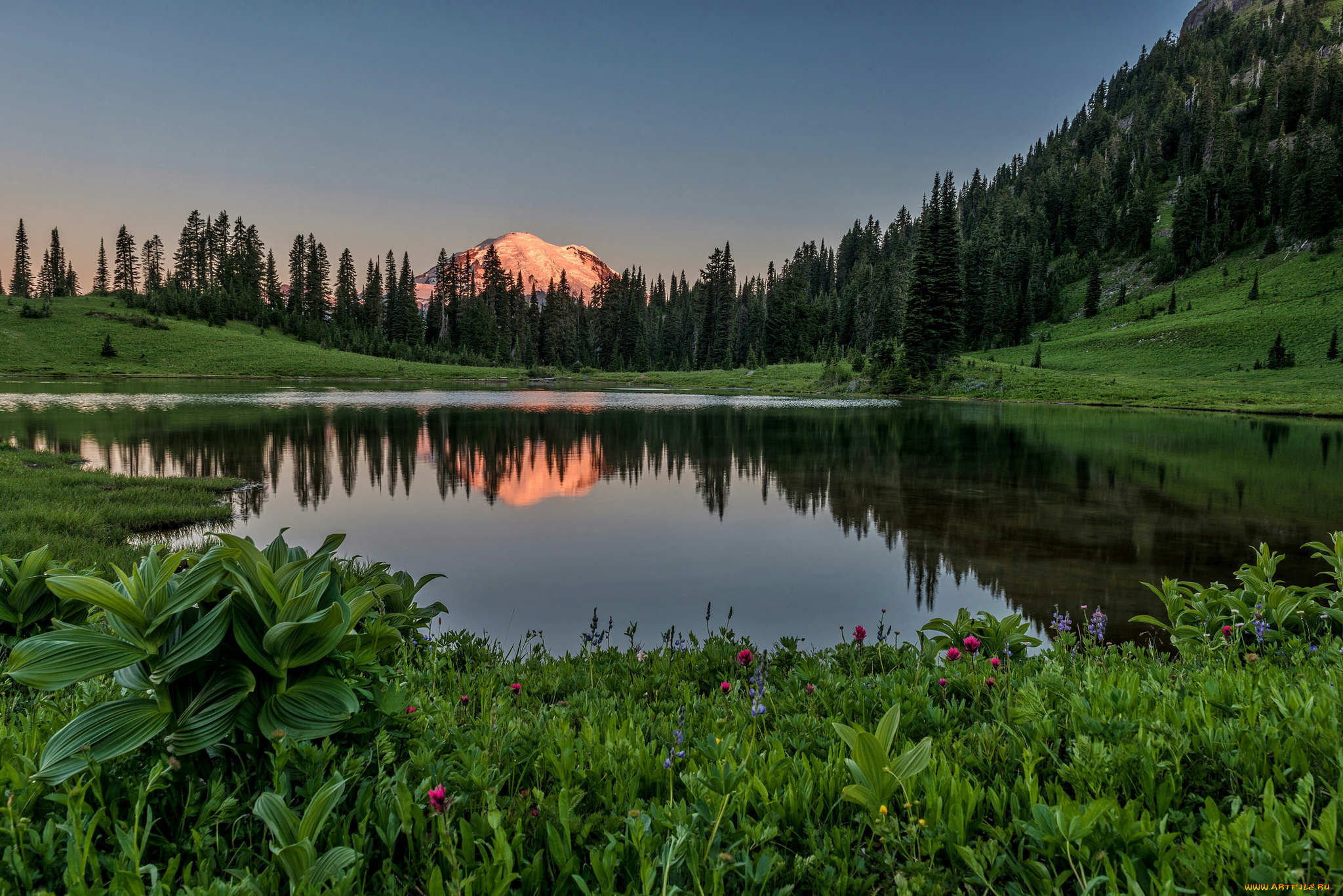 природа, реки, озера, река, лес, горы