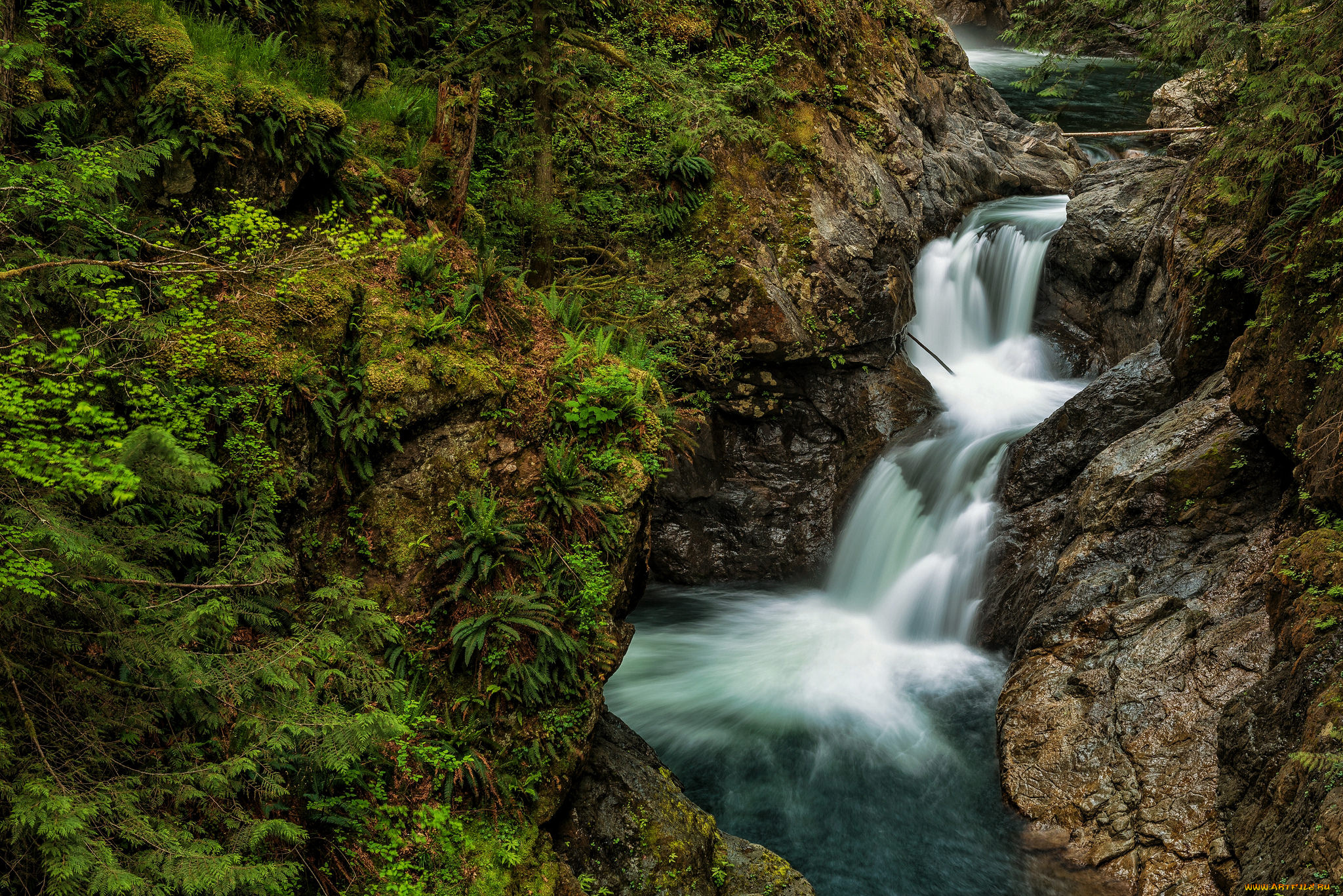 природа, водопады, лес, водопад, река