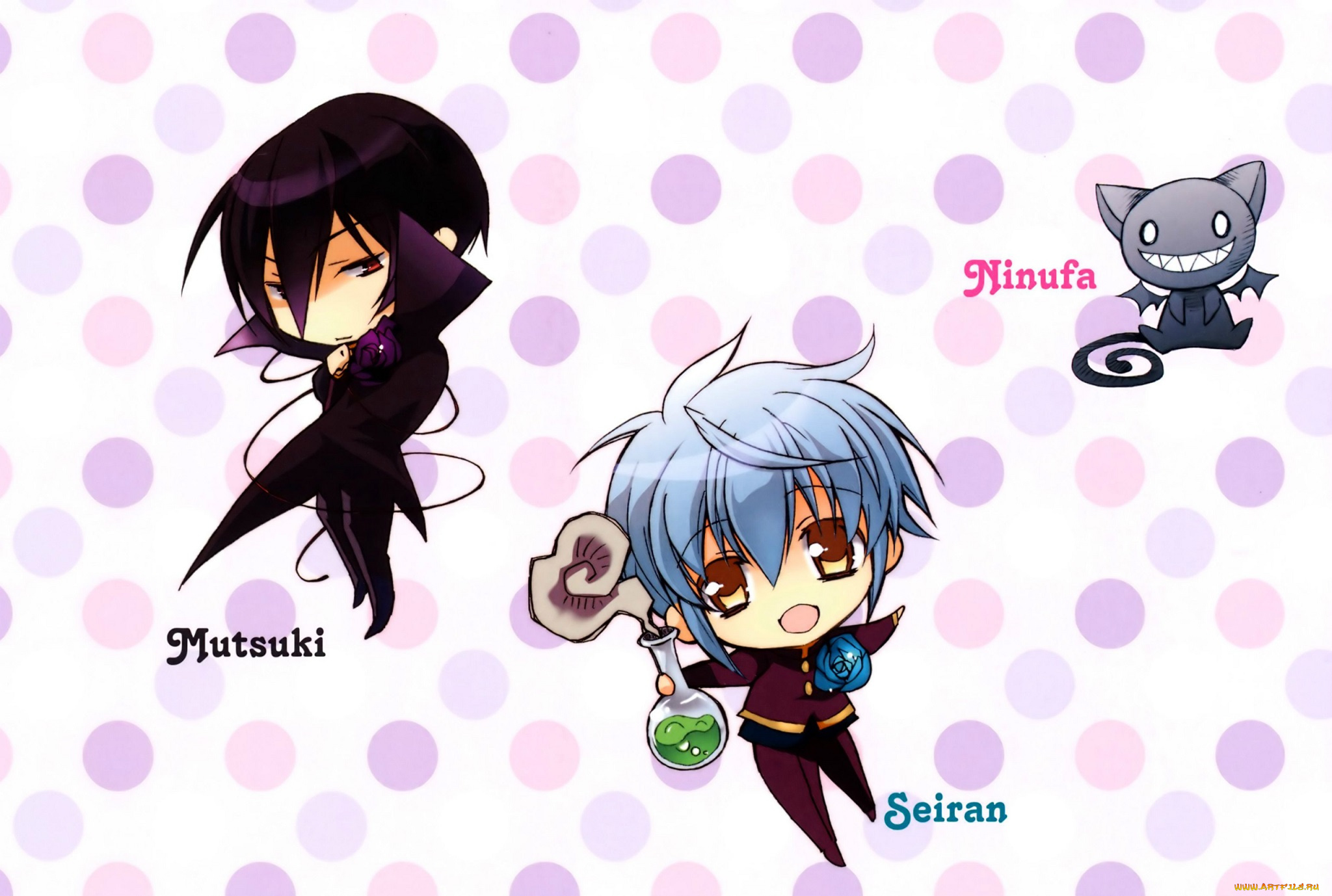 аниме, kiss, of, rose, princess, котенок, черный, голубые, волосы, ninufa, mutsuki, kurama, seiran, asagi, kiss, of, rose, princess, aya, shouoto, art