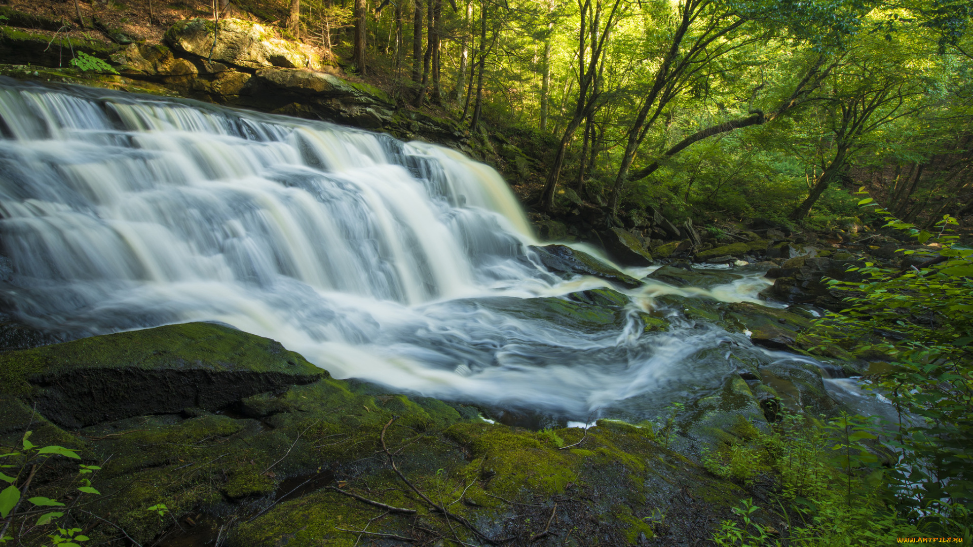 природа, водопады, лес, река, водопад