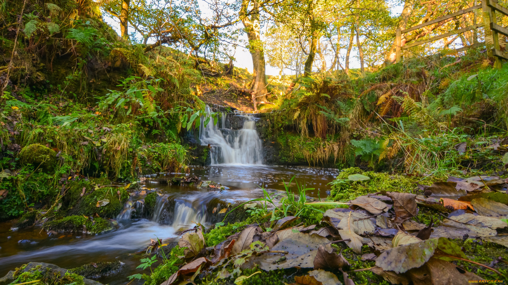 природа, водопады, лес, река, водопад